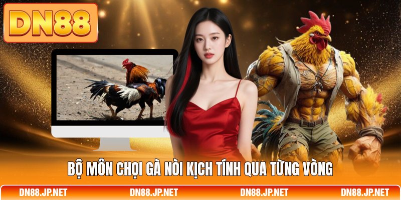 Bộ môn chọi gà nòi kịch tính qua từng vòng