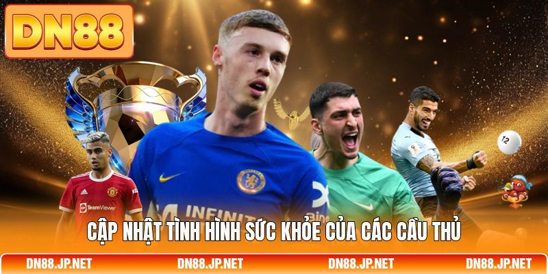 Cập nhật tình hình sức khỏe của các cầu thủ