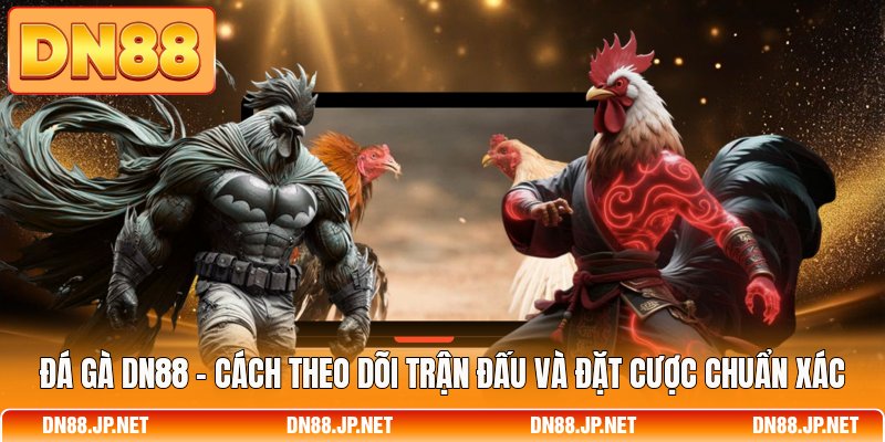 Đá Gà DN88 - Cách Theo Dõi Trận Đấu Và Đặt Cược Chuẩn Xác
