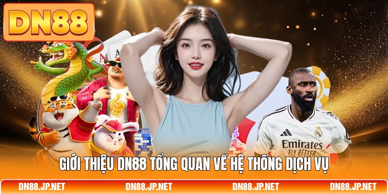 Giới thiệu DN88 tổng quan về hệ thống dịch vụ